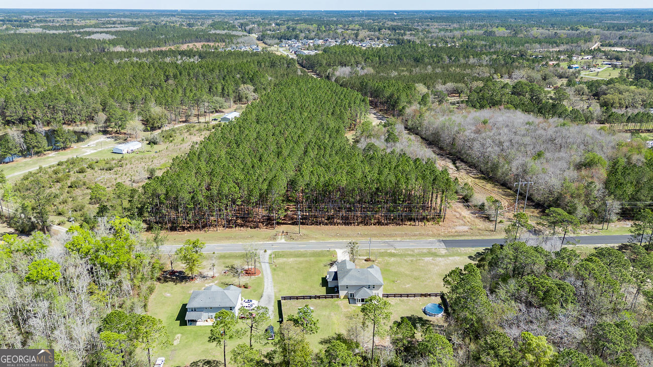 353 Palmer Road Ludowici, GA 31316 - Photo 49 of 52