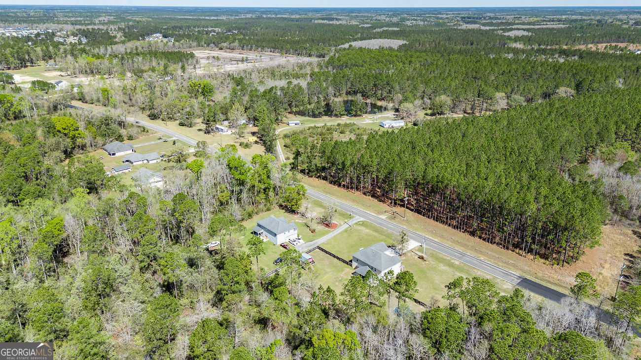 353 Palmer Road Ludowici, GA 31316 - Photo 50 of 52
