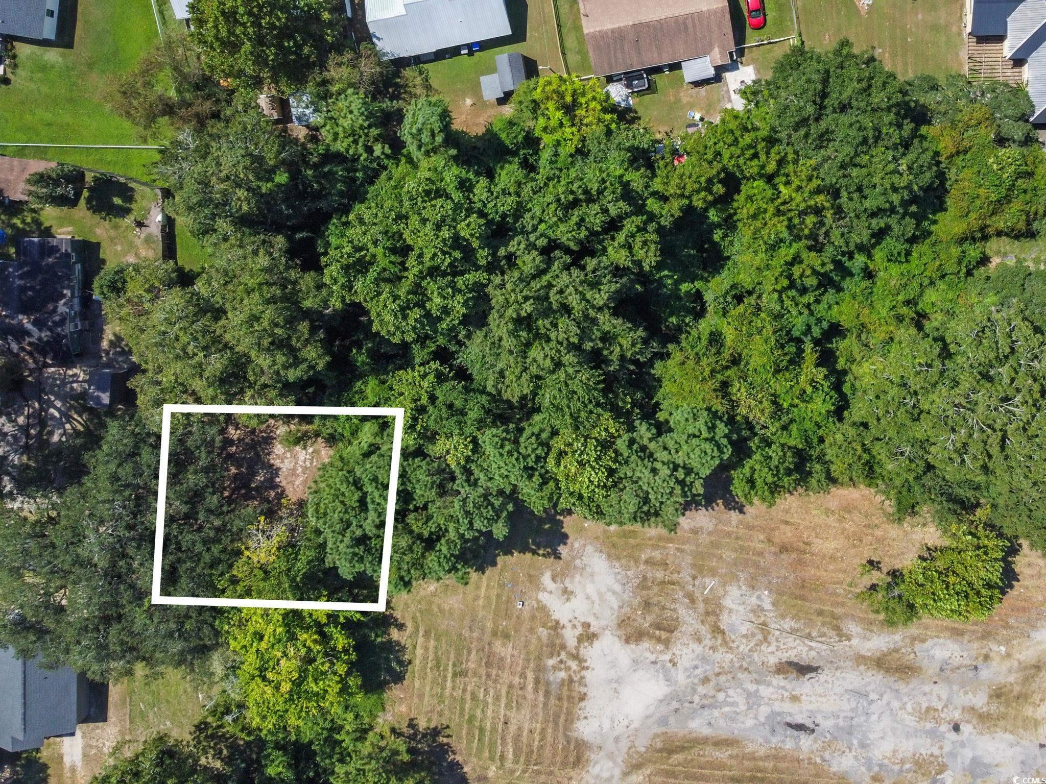 411 Apple Lane Conway, SC 29527 - Photo 2 of 9 Aerial overview of property's location featuring property parcel outlined