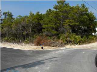 12 Robert Ellis Street Santa Rosa Beach, FL 32459 - Photo 1 of 1 Primary Photo