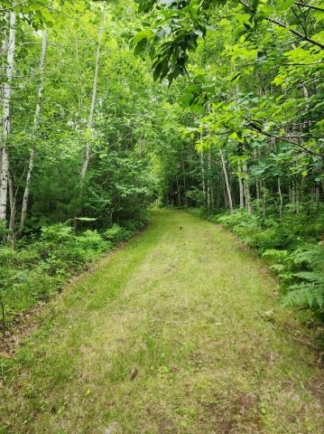 6565 Lynch Bridge Road Siren, WI 54872 - Photo 7 of 60