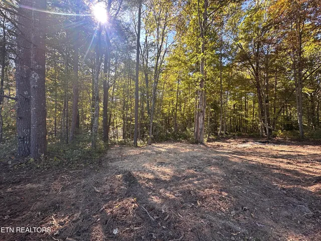 $189,900 | 18.6-acres Cave Branch Road, Allardt, TN 38504