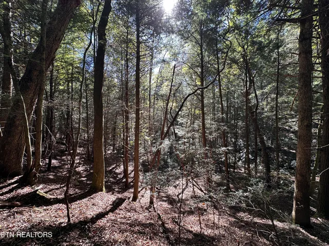 $189,900 | 18.6-acres Cave Branch Road, Allardt, TN 38504