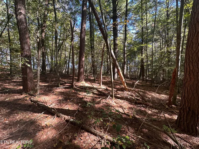 $189,900 | 18.6-acres Cave Branch Road, Allardt, TN 38504