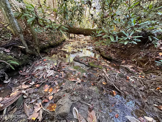 $189,900 | 18.6-acres Cave Branch Road, Allardt, TN 38504