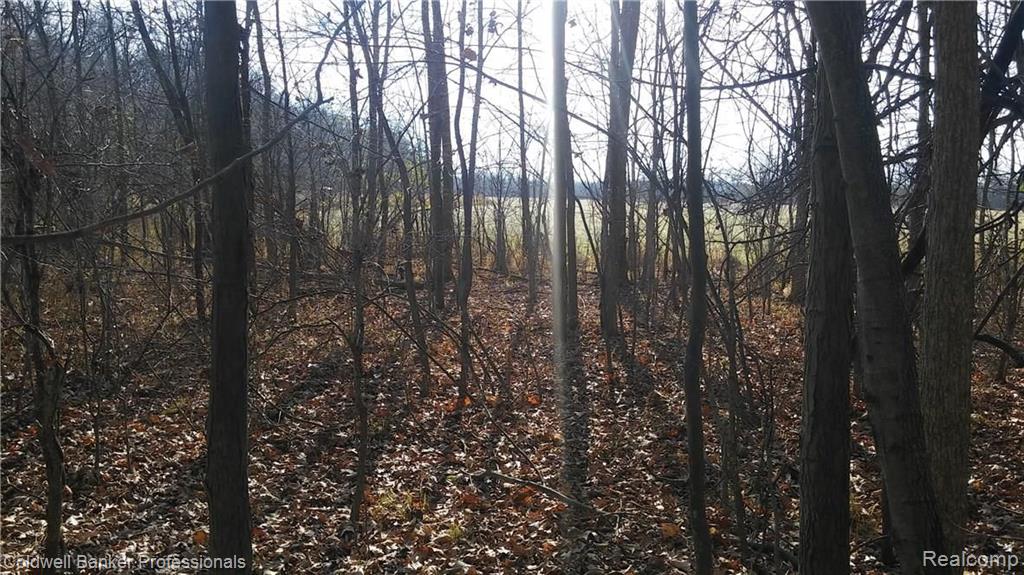 Eight West Eight Mile Road South Lyon, MI 48178 - Photo 23 of 58