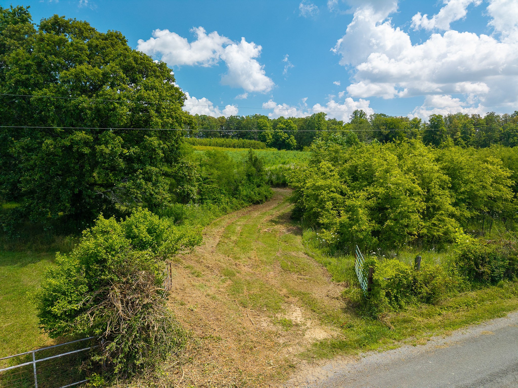 0 Sneed Road McMinnville, TN 37110 - Photo 6 of 16