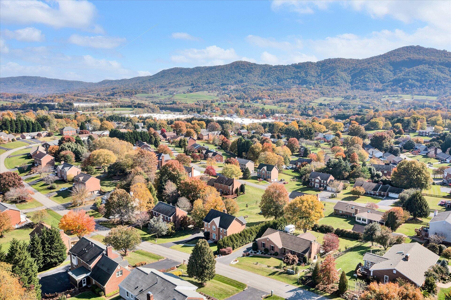 5215 Huntridge Road Roanoke, VA 24012 - Photo 3 of 47 04-DJI_0433