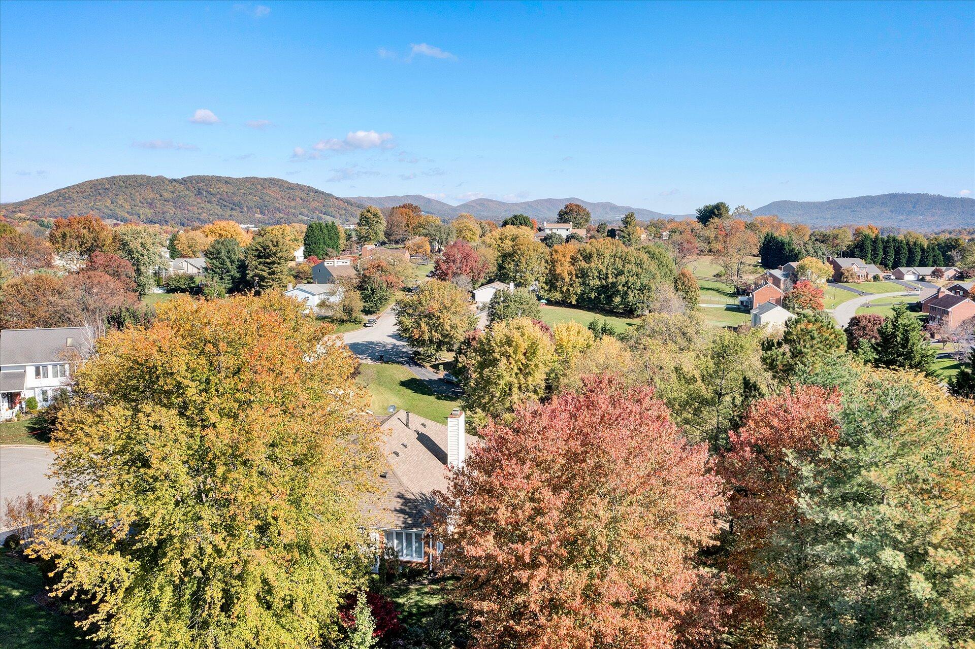 5215 Huntridge Road Roanoke, VA 24012 - Photo 44 of 47 43-DJI_0436