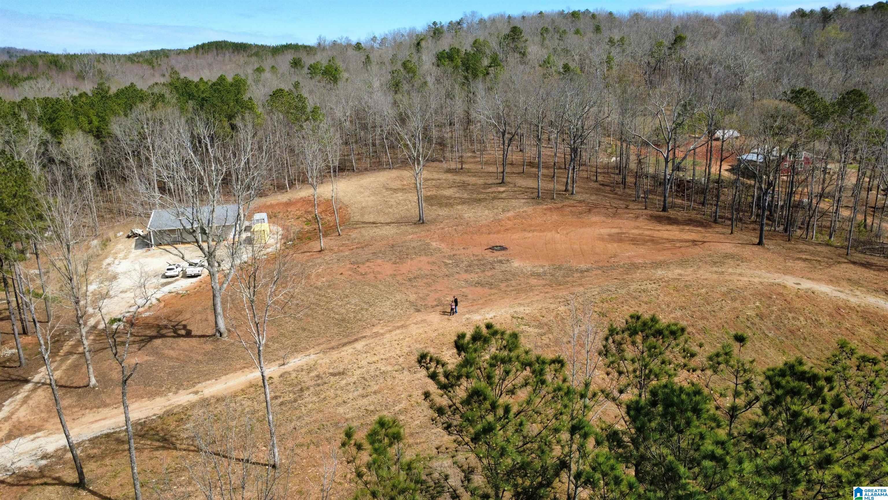 8235 County Road 10 Ranburne, AL 36273 - Photo 16 of 16