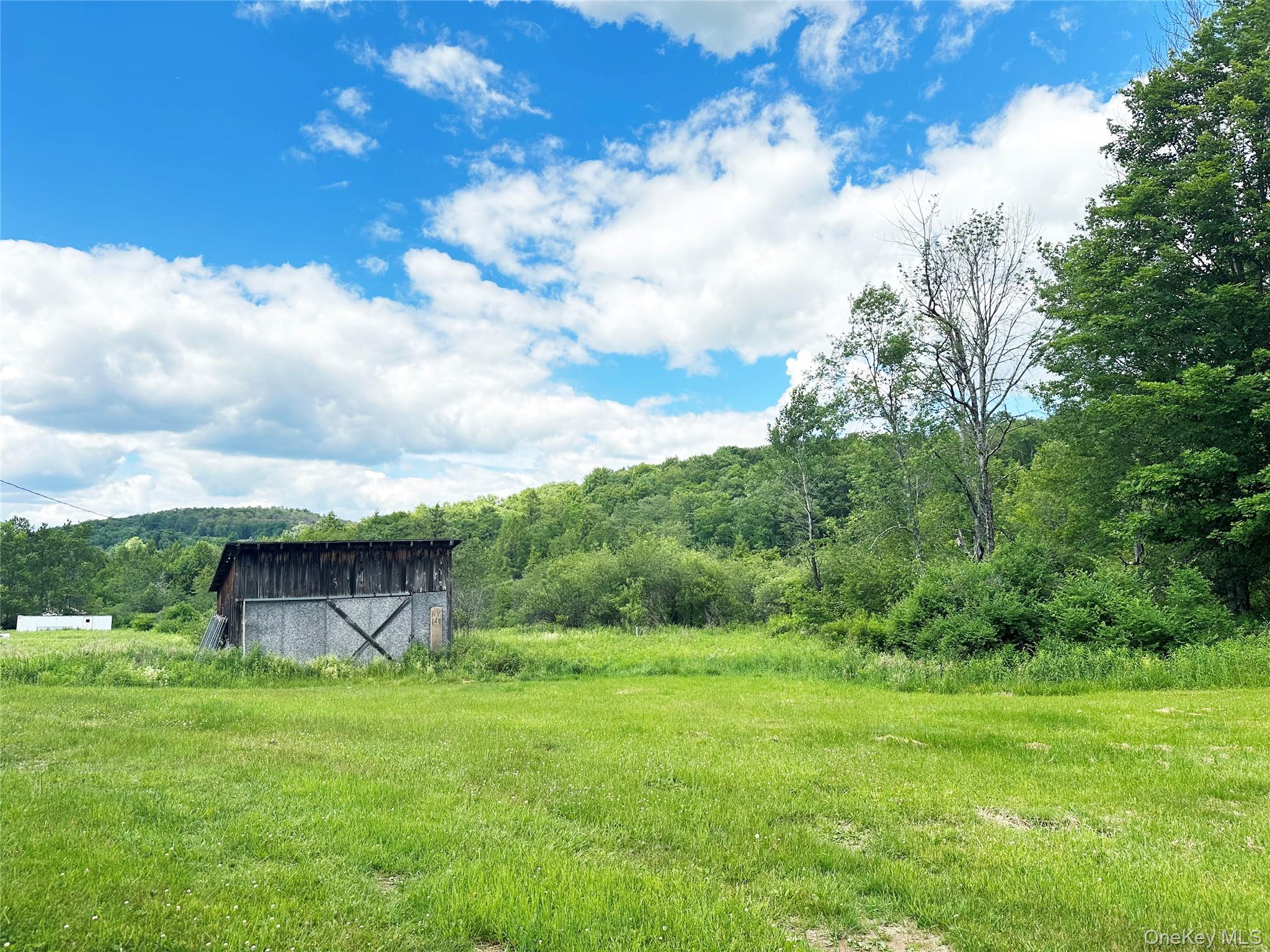 818 Methol Road Roscoe, NY 12776 - Photo 16 of 39 Open meadow and scenic Catskills mountain backdrop with rustic outbuilding and picturesque natural surroundings.