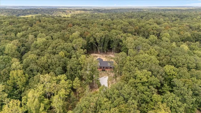 a view of a forest with a street