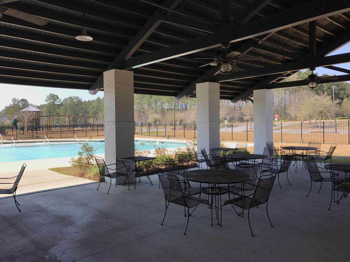 119 Nolin Road Moncks Corner, SC 29461 - Photo 42 of 44 springgrove pool area