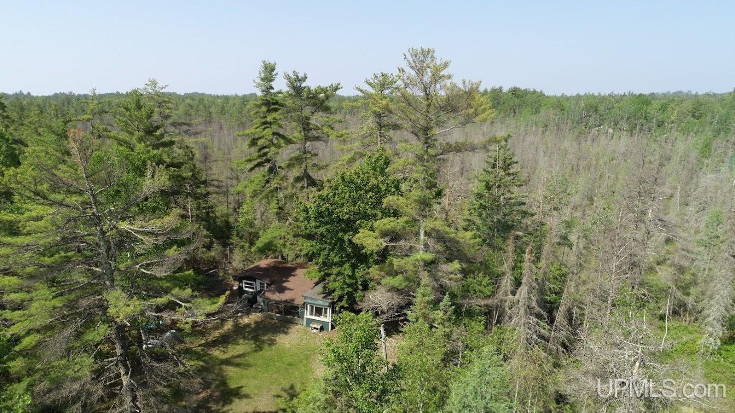 649 West Gulliver Lake Road Gulliver, MI 49840 - Photo 23 of 24