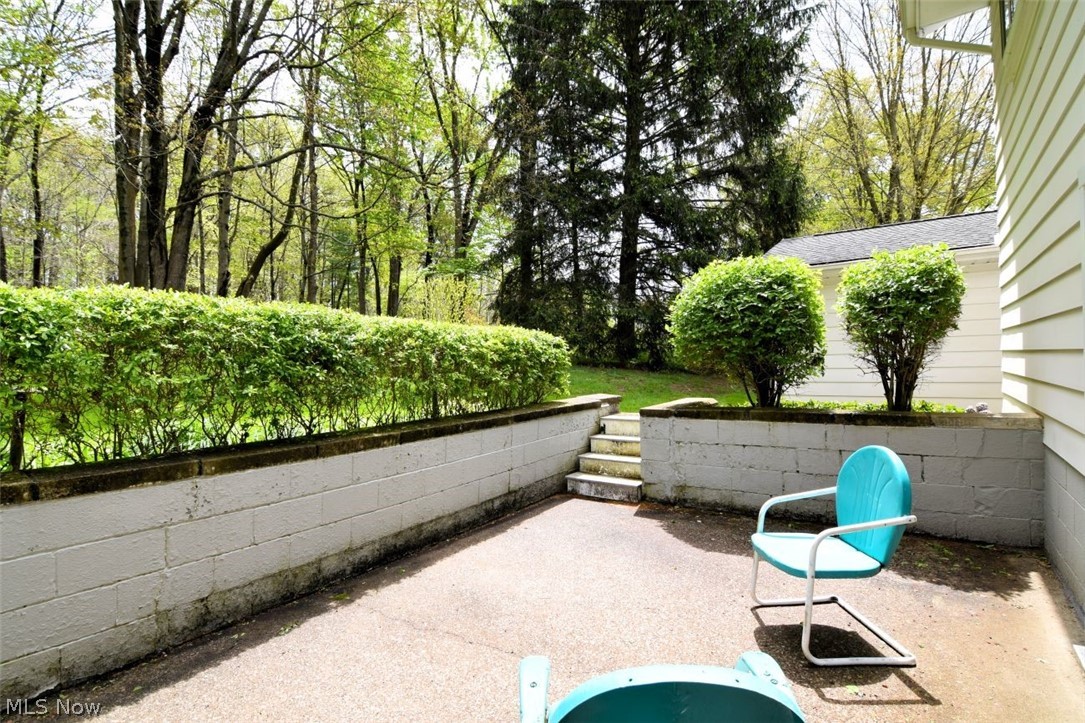 6977 Springledge Road Northfield, OH 44067 - Photo 41 of 47 Gallery Image 41