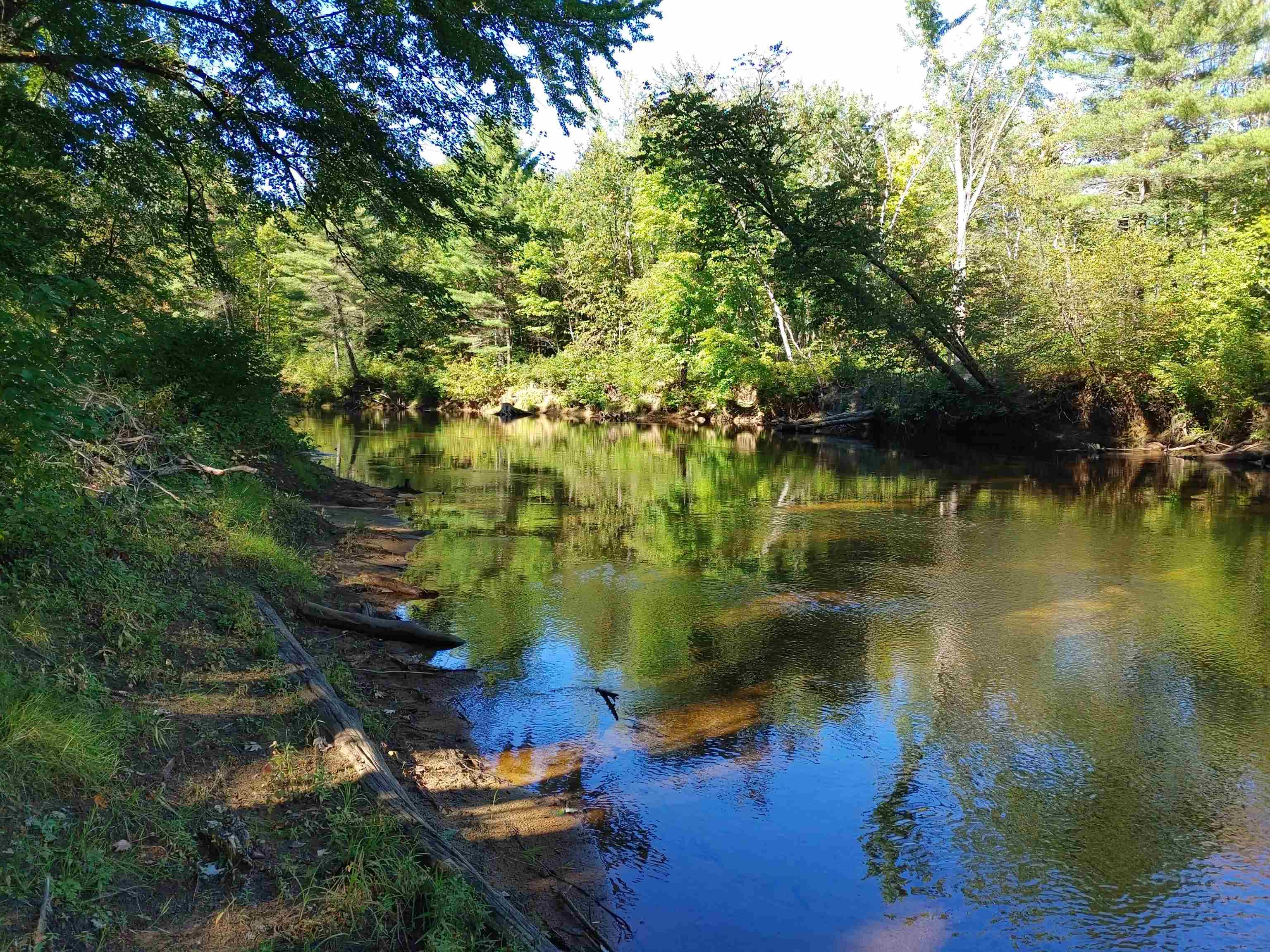 60 Newman Drew Road Ossipee, NH 03890 - Photo 2 of 5 Gallery Image 2