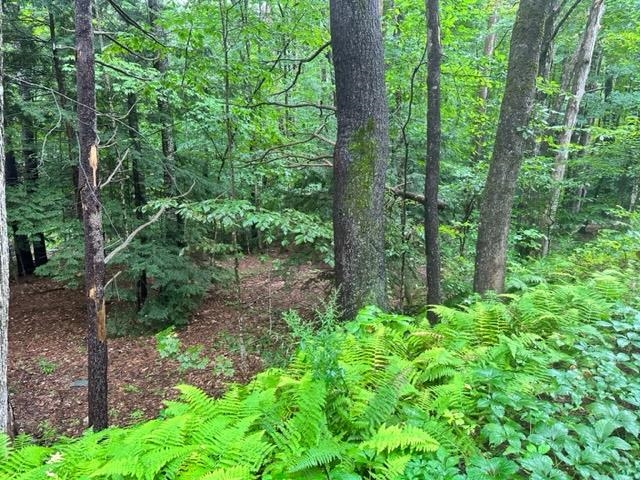 60 Newman Drew Road Ossipee, NH 03890 - Photo 4 of 5 Gallery Image 4