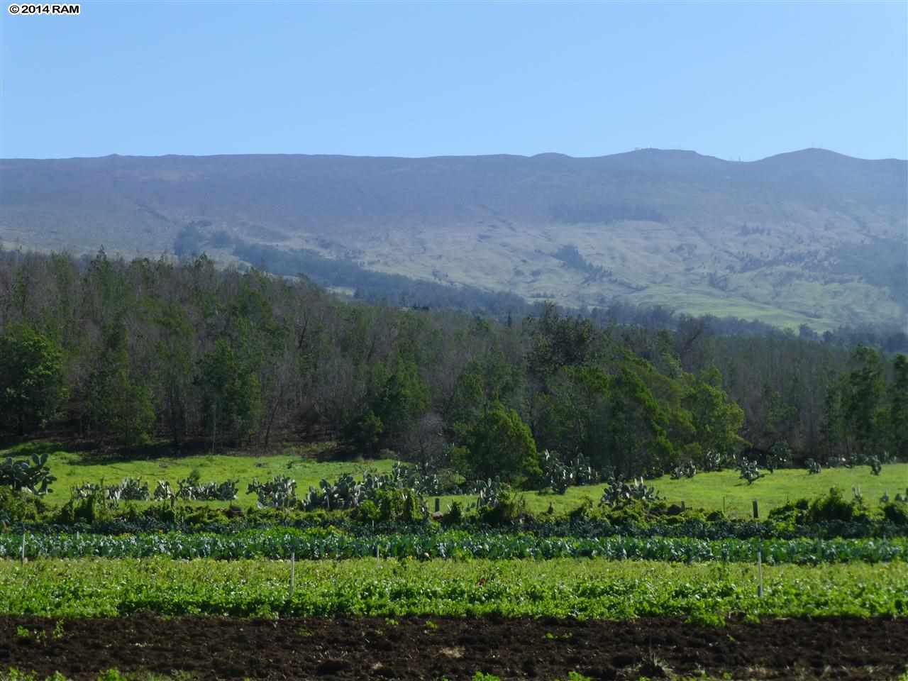 215 B Pulehunui Road Kula, HI 96790 - Photo 11 of 22 a view of a town with mountains in the background