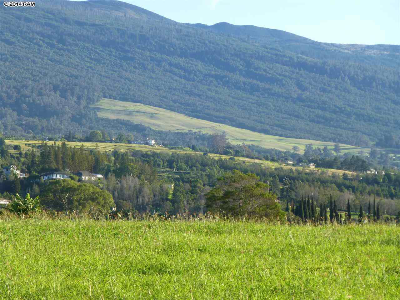 215 B Pulehunui Road Kula, HI 96790 - Photo 13 of 22 a view of a back yard
