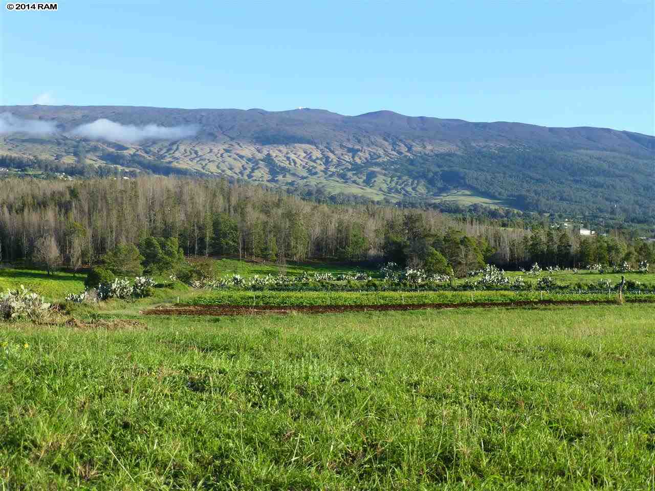 215 B Pulehunui Road Kula, HI 96790 - Photo 6 of 22 a view of a lush green hillside and houses