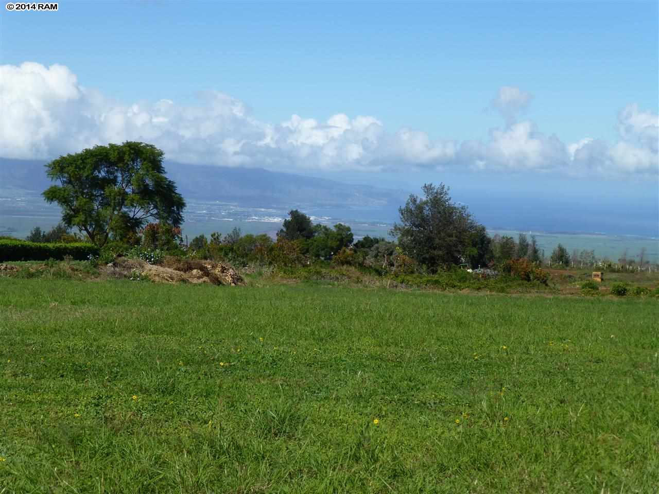215 B Pulehunui Road Kula, HI 96790 - Photo 9 of 22 a view of a big yard with large trees