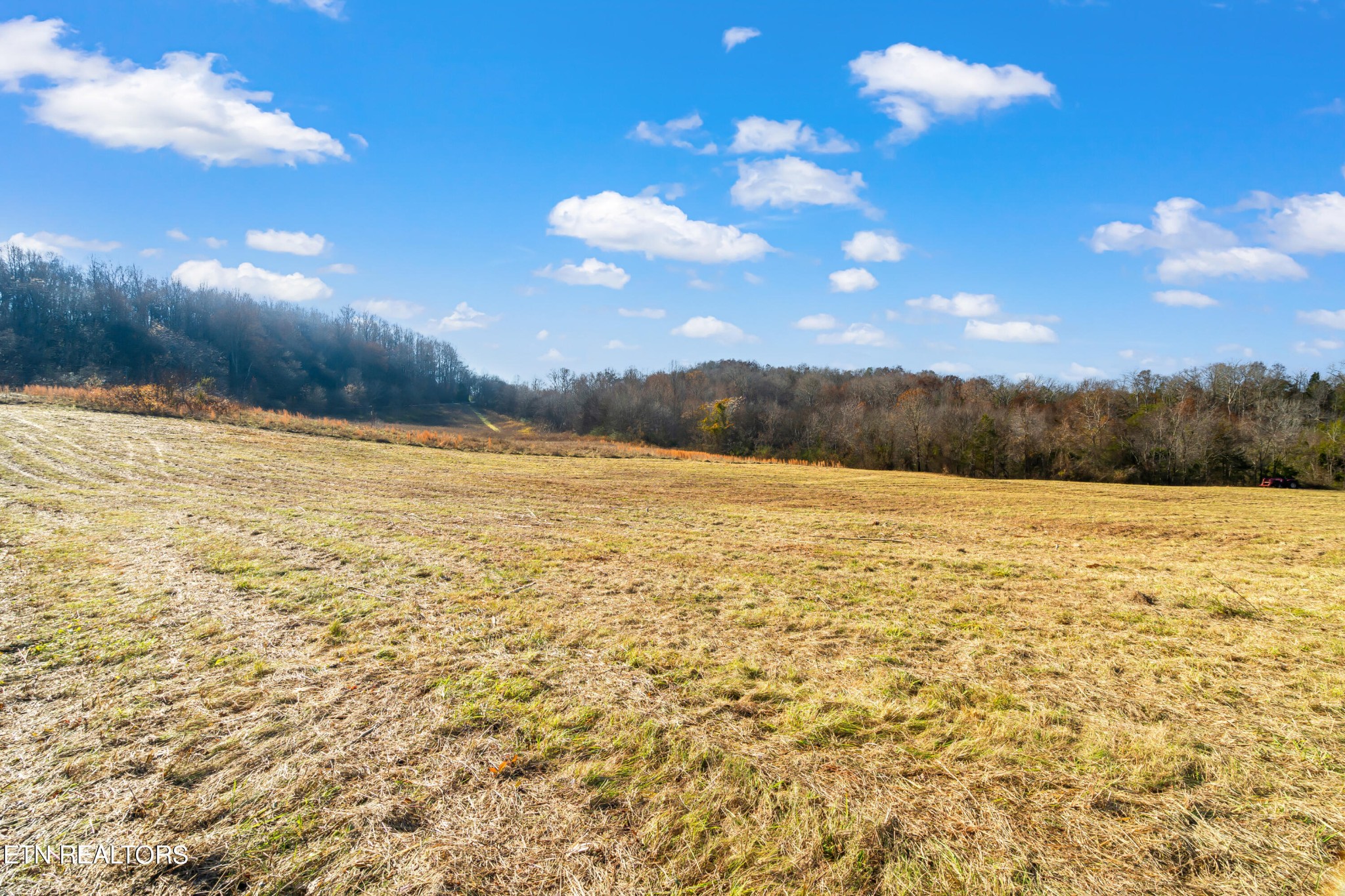 6 Hiwassee Road Sweetwater, TN 37874 - Photo 6 of 36 Gallery Image 6