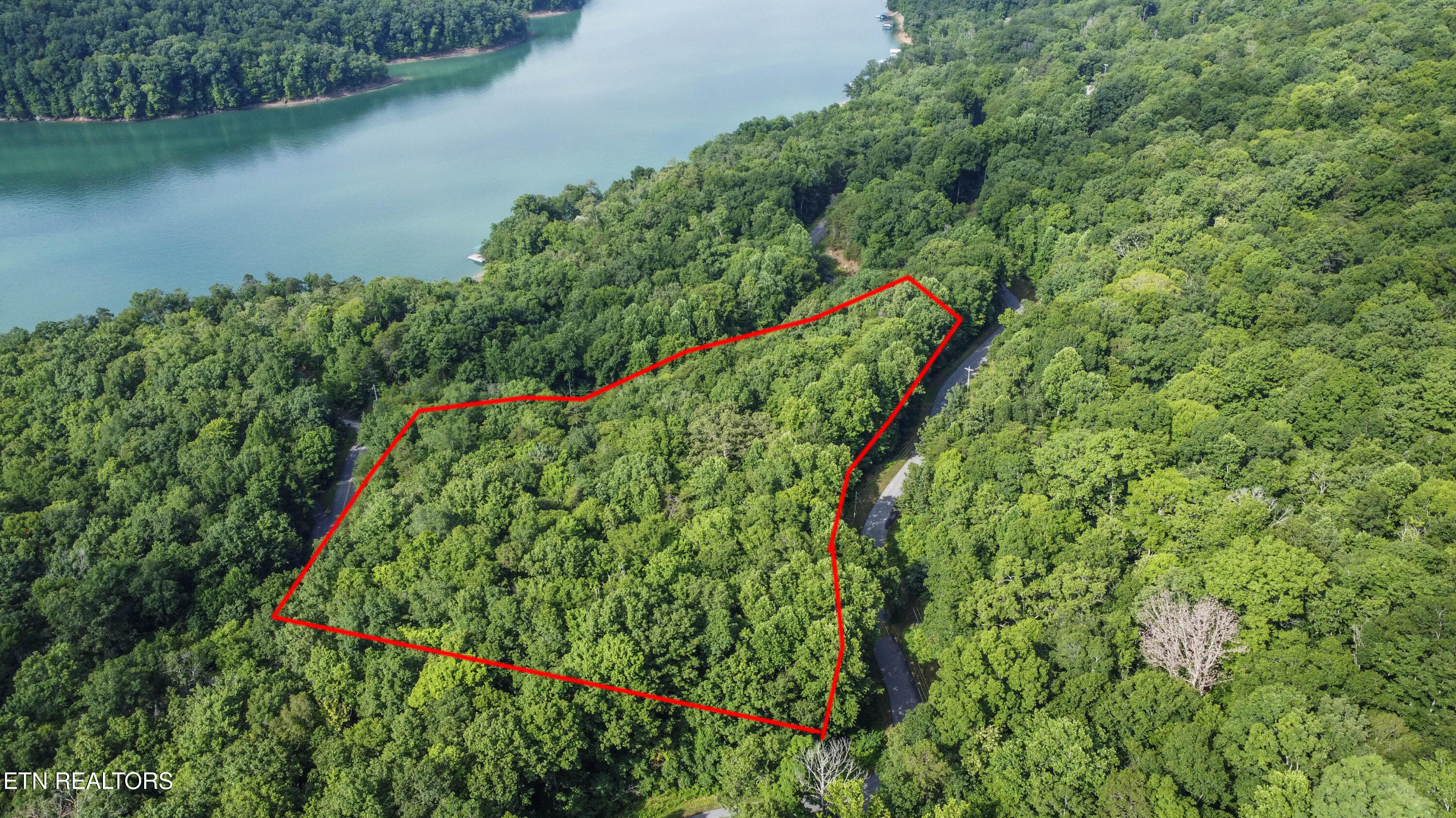 Timber Ridge Road Sharps Chapel, TN 37866 - Photo 1 of 9 drone 16