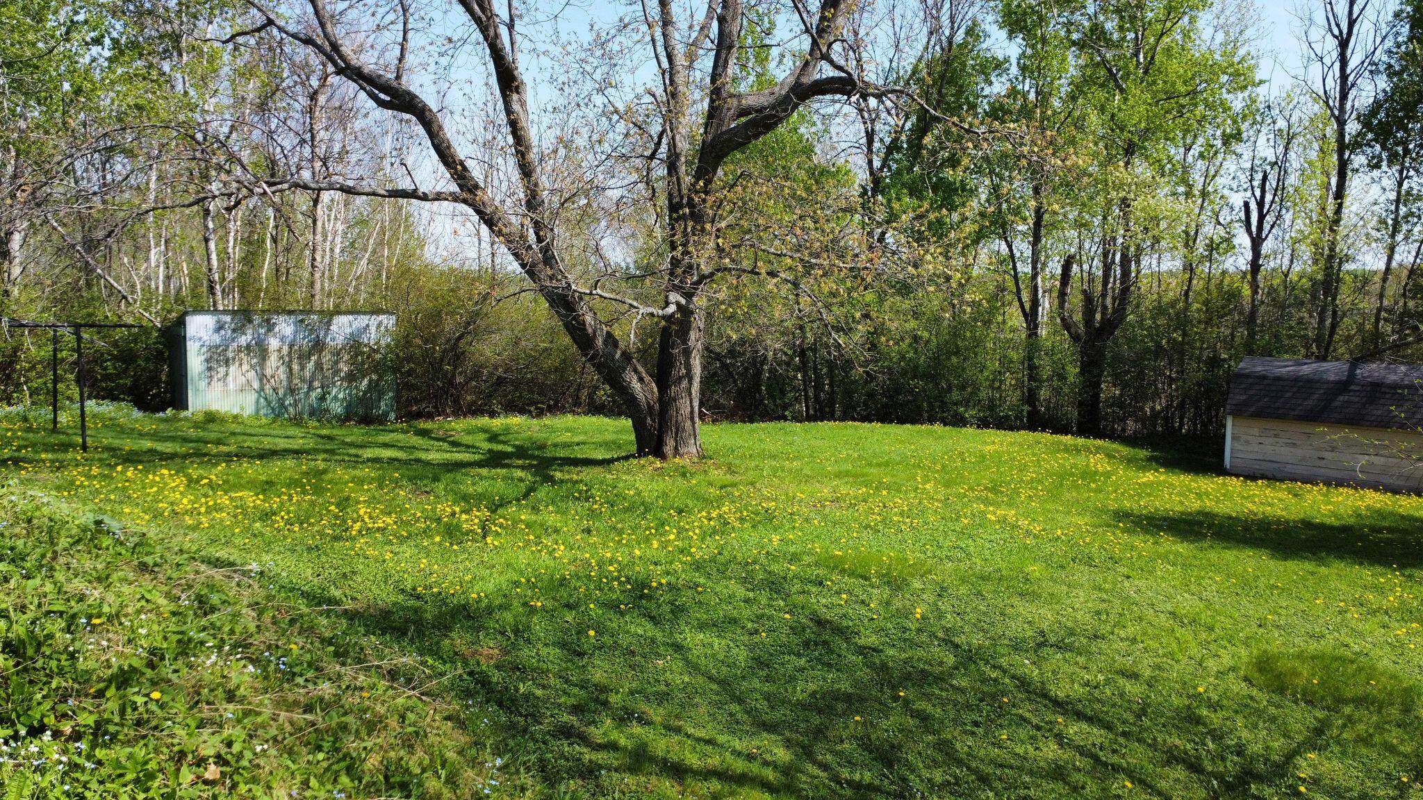 586 Fort Fairfield Road Caribou, ME 04736 - Photo 3 of 26 Backyard - 2 sheds!