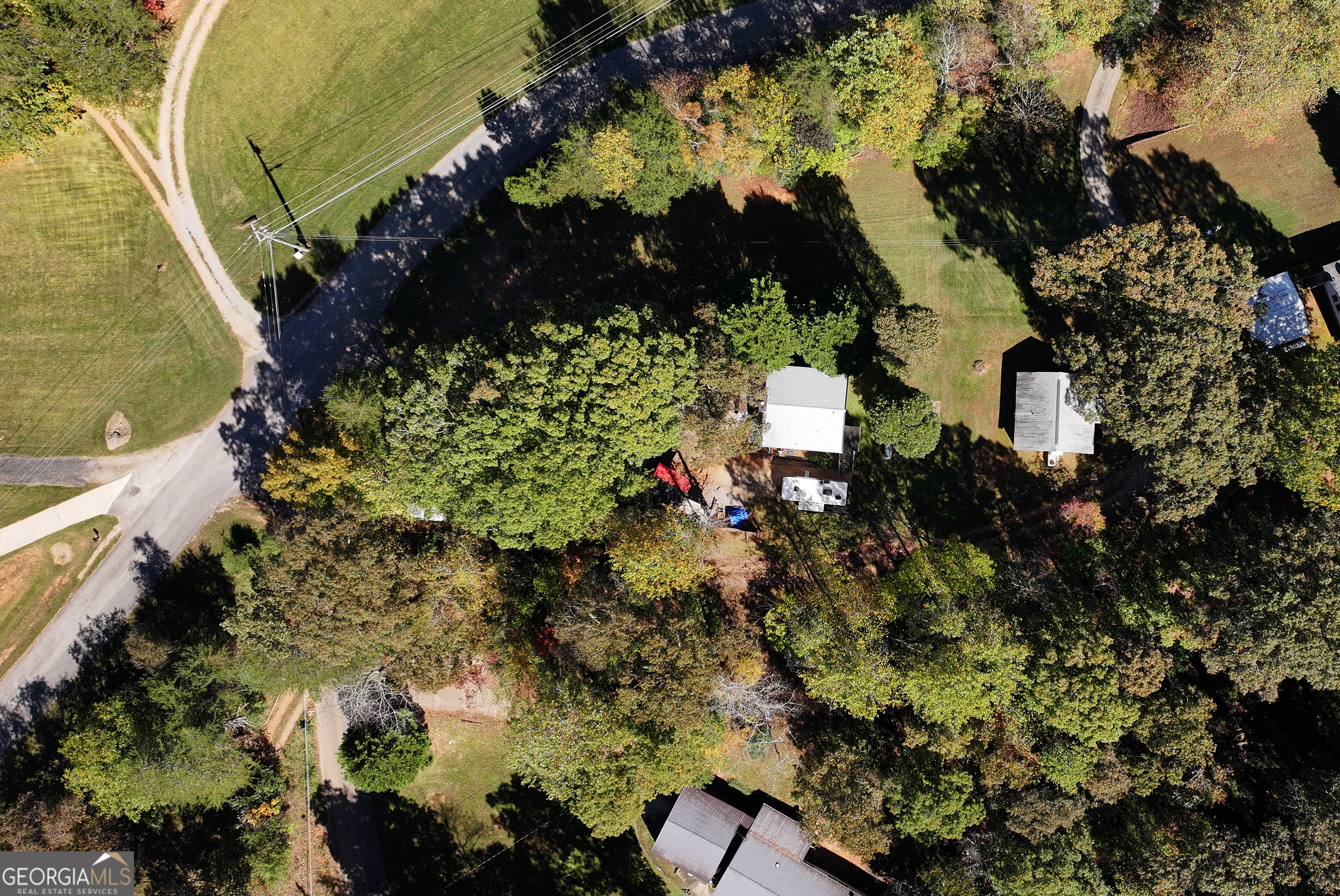 373 Jennys Cove Road Cleveland, GA 30528 - Photo 5 of 44 a picture of flowers