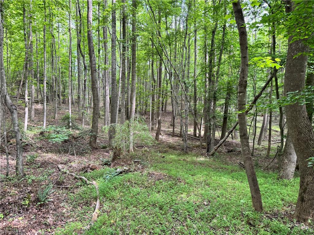 429 Wayne Marshall Road Elkin, NC 28621 - Photo 14 of 19