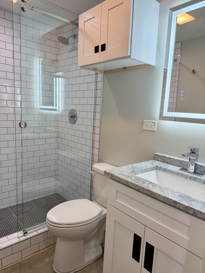 4730 West Grace Street, Unit 3 Chicago, IL 60641 - Photo 9 of 26
