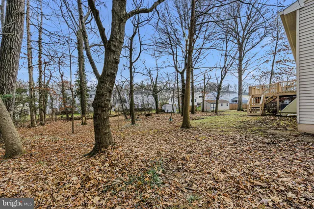 a view of road with trees