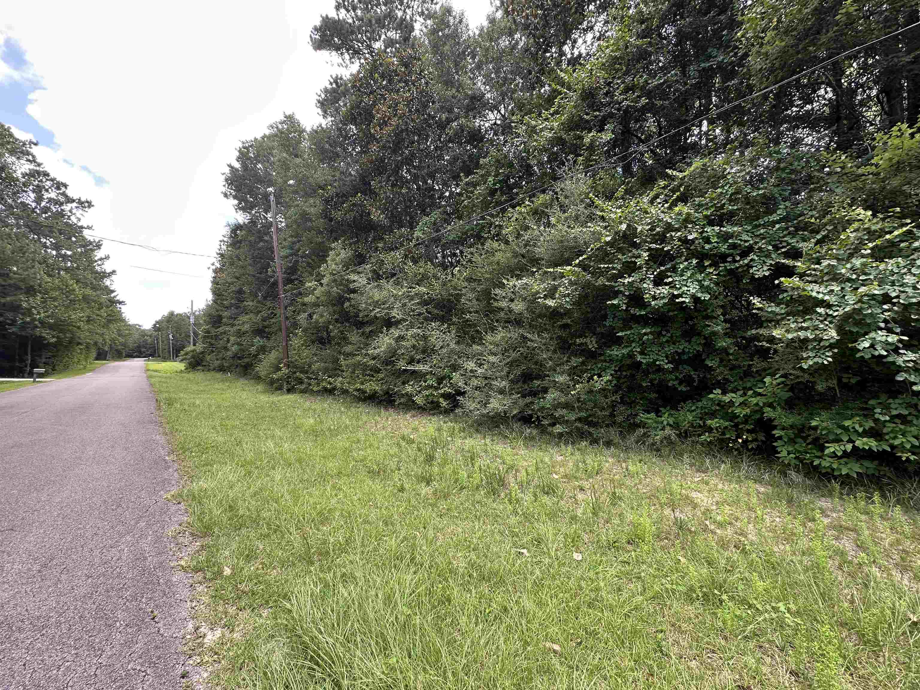Lot 4 Fuller Road Silsbee, TX 77656 - Photo 6 of 6
