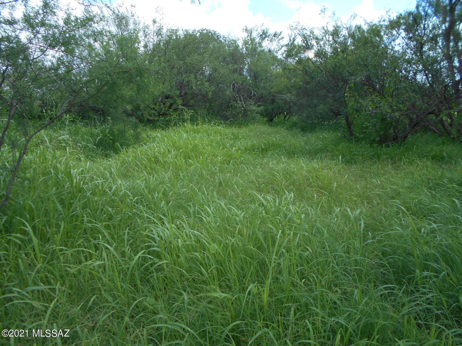 7298 North Frontier Road McNeal, AZ 85617 - Photo 25 of 40 Gallery Image 25