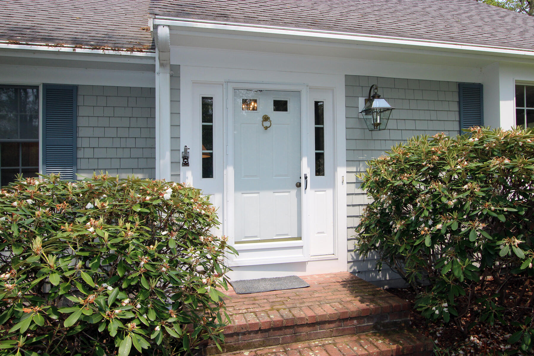 81 Red Maple Road Brewster, MA 02631 - Photo 1 of 62 _MG_3959F