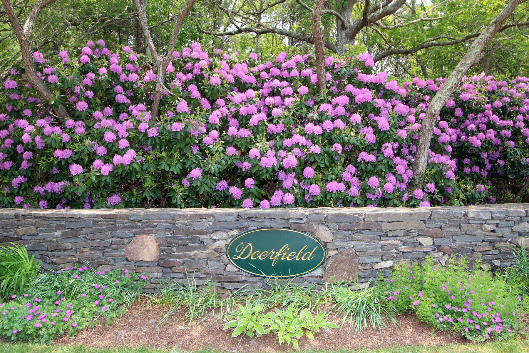 81 Red Maple Road Brewster, MA 02631 - Photo 5 of 62 _MG_3966F
