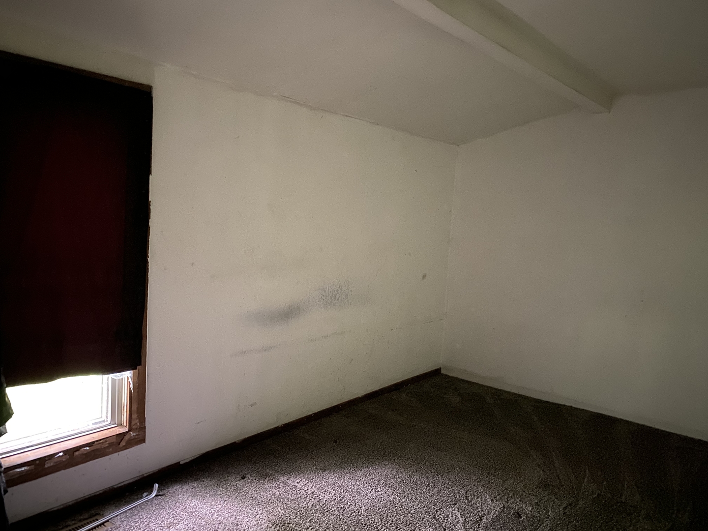 301 4th Street Fisher, IL 61843 - Photo 9 of 10