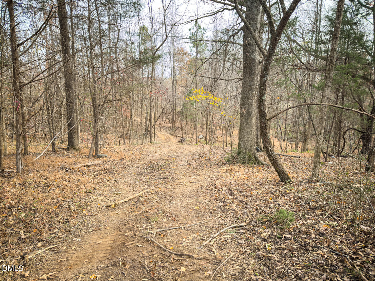 0 Mann Oakley Road Rougemont, NC 27572 - Photo 48 of 55 47