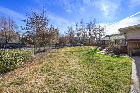 a view of a backyard with plants and large trees