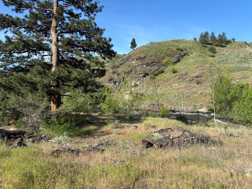 Tbd Abby Lane, Unit 5 Pollock, ID 83547 - Photo 7 of 12