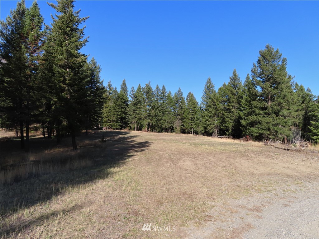 561 Kettle River Road Curlew, WA 99118 - Photo 17 of 27 Gallery Image 17