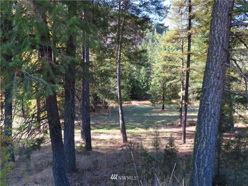 561 Kettle River Road Curlew, WA 99118 - Photo 18 of 27 Gallery Image 18