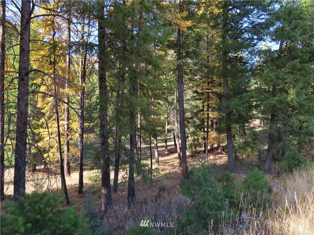 561 Kettle River Road Curlew, WA 99118 - Photo 20 of 27 Gallery Image 20