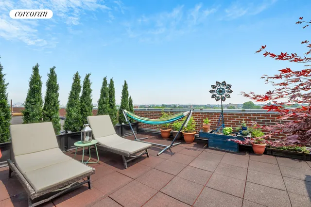 a group of people sitting on a roof deck with potted plants