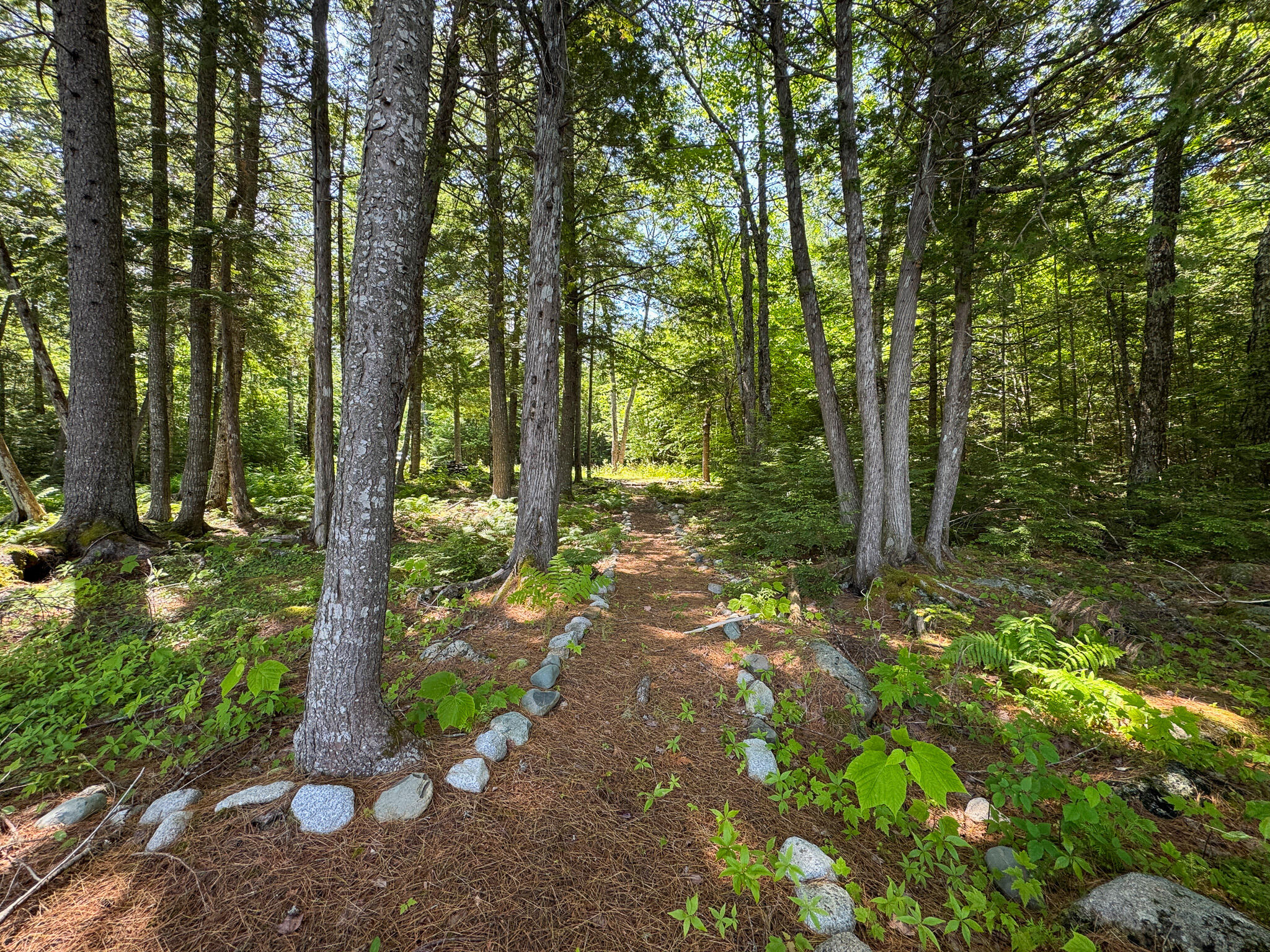 21 Spruce Pt Road Lowell, ME 04493 - Photo 7 of 19 7
