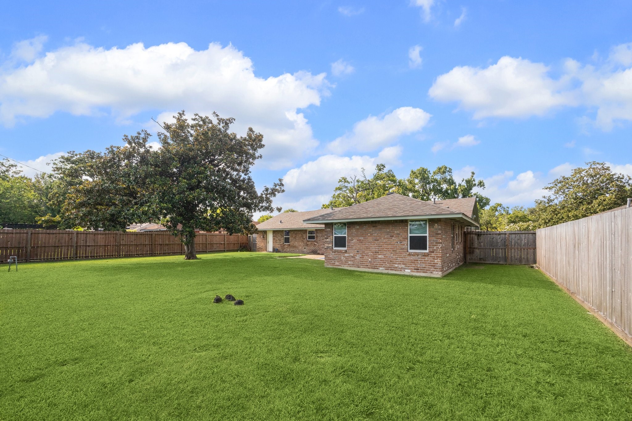 8911 Blankenship Drive Houston, TX 77080 - Photo 16 of 21 Discover the charm of this expansive backyard, complete with a lush green lawn and a stunning mature Southern Magnolia tree, all framed by wooden fencing for your privacy. This outdoor oasis is perfect for vibrant activities and peaceful relaxation, offering abundant space for a home addition or a luxurious pool, a covered patio, and deck. This backyard presents endless opportunities to create your dream outdoor living space. Don’t miss out on this exceptional retreat!