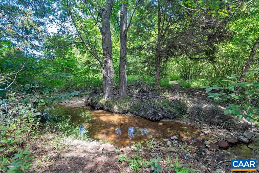 846 Troy Road Troy, VA 22974 - Photo 47 of 49 a big yard with lots of green space and deers