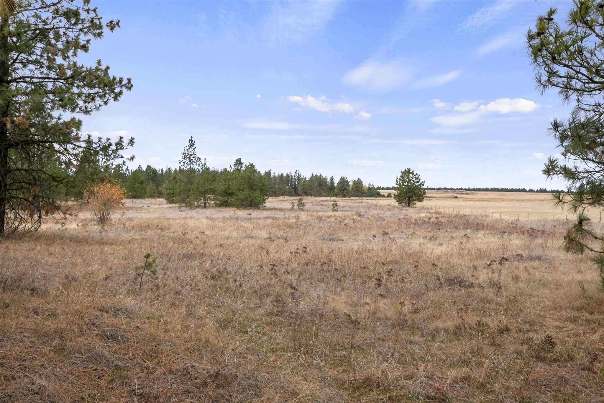 15117 North Ritchey Road Nine Mile Falls, WA 99026 - Photo 13 of 17