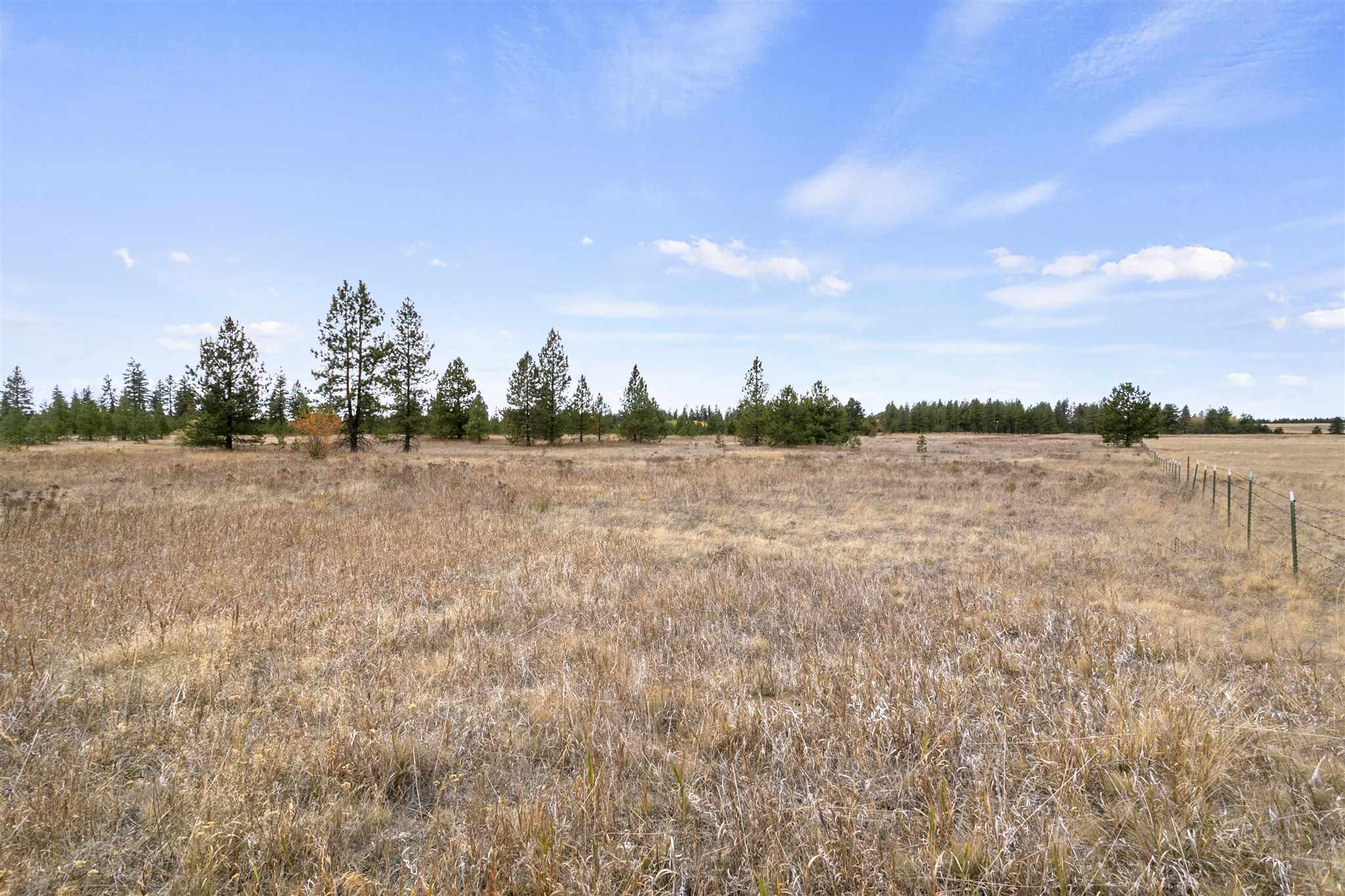 15117 North Ritchey Road Nine Mile Falls, WA 99026 - Photo 14 of 17