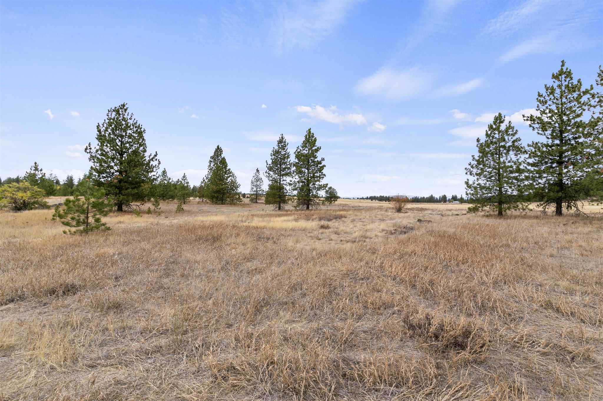 15117 North Ritchey Road Nine Mile Falls, WA 99026 - Photo 15 of 17